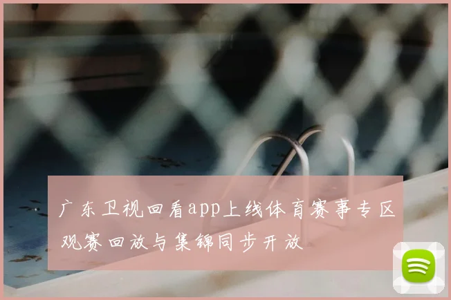 广东卫视回看app上线体育赛事专区 观赛回放与集锦同步开放