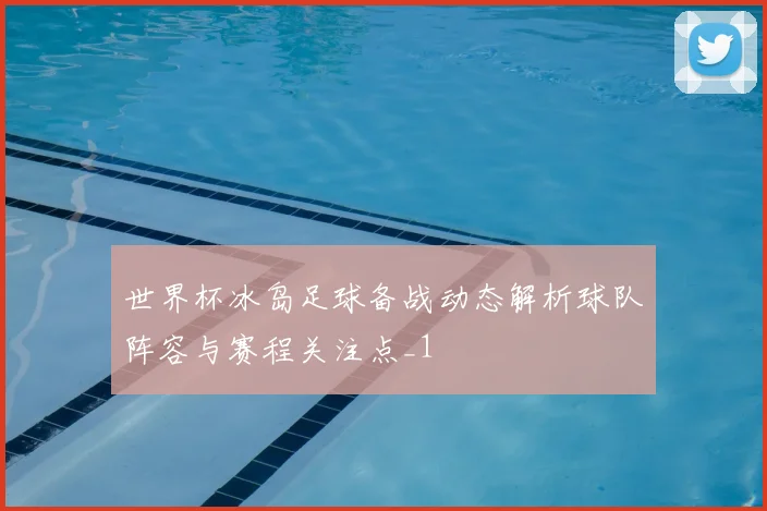 世界杯冰岛足球备战动态解析球队阵容与赛程关注点_1