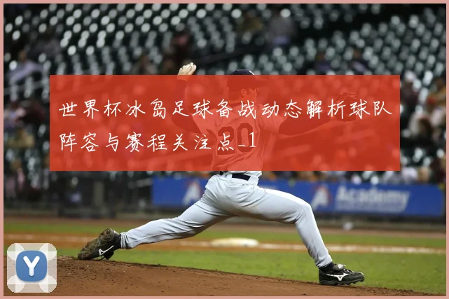 世界杯冰岛足球备战动态解析球队阵容与赛程关注点_1
