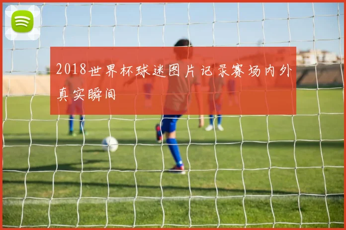 2018世界杯球迷图片记录赛场内外真实瞬间