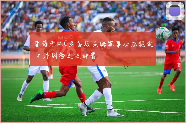 葡萄牙队C罗备战关键赛事状态稳定 主帅调整进攻部署