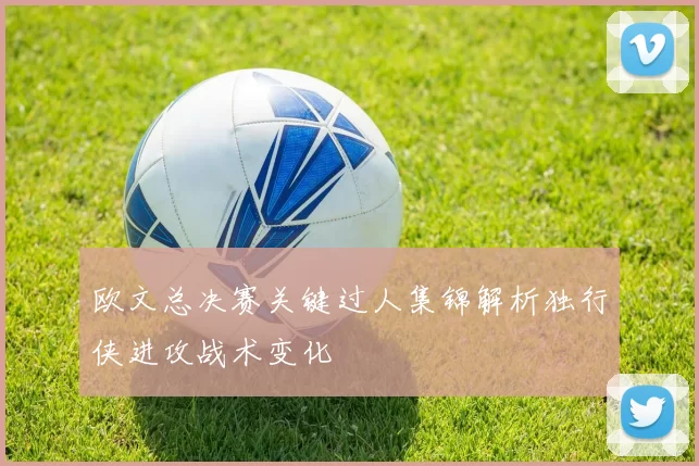 欧文总决赛关键过人集锦解析独行侠进攻战术变化