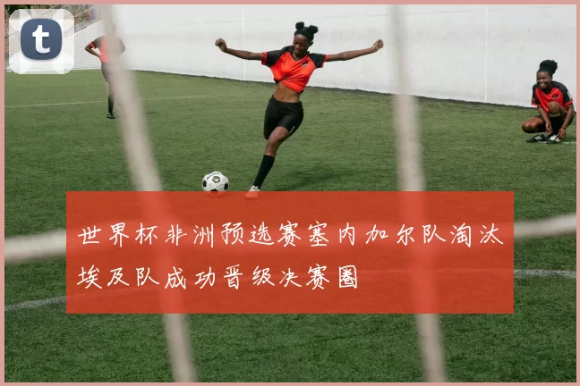 世界杯非洲预选赛塞内加尔队淘汰埃及队成功晋级决赛圈