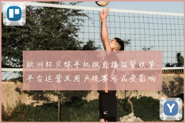 欧洲杯买球手机版直播监管收紧,平台运营及用户观赛方式受影响