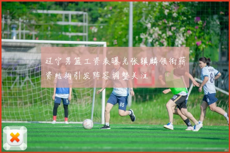 辽宁男篮工资表曝光张镇麟领衔薪资结构引发阵容调整关注