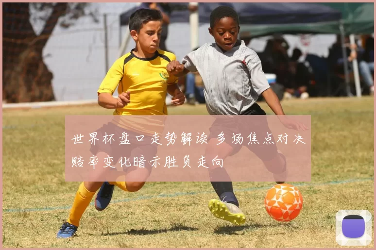 世界杯盘口走势解读 多场焦点对决赔率变化暗示胜负走向